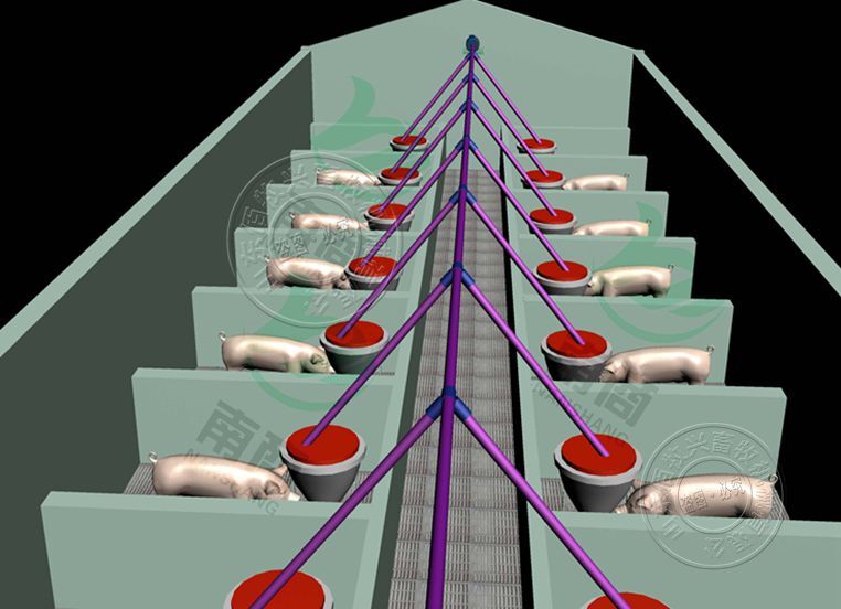 猪场自动喂料系统
